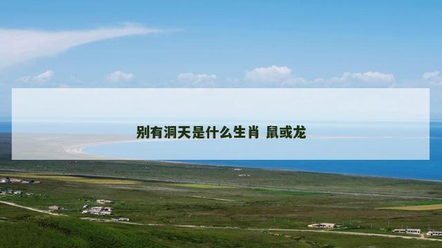 别有洞天是什么生肖 鼠或龙
