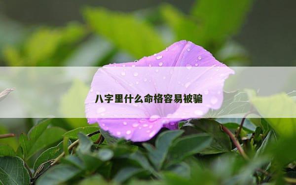 八字里什么命格容易被骗