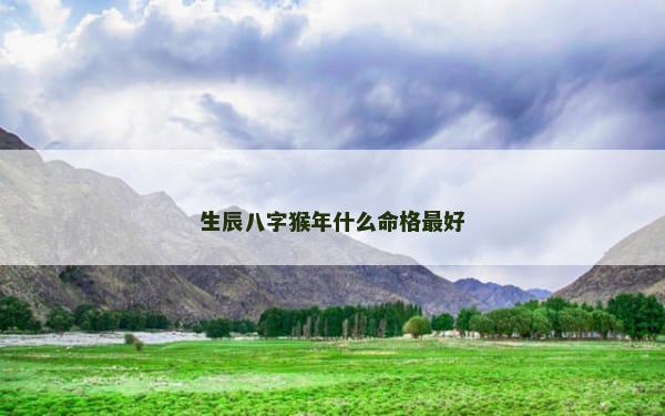 生辰八字猴年什么命格最好