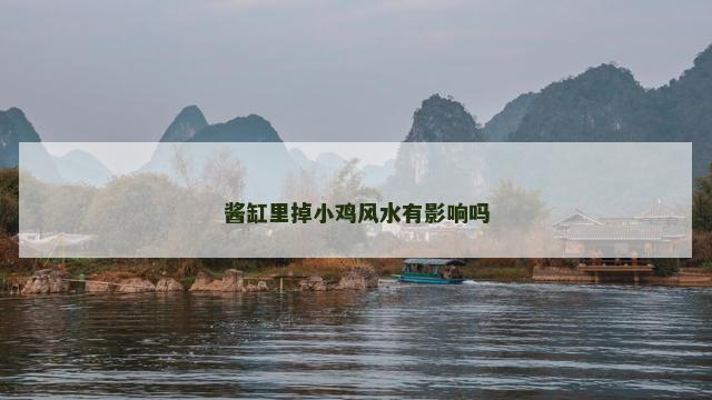 酱缸里掉小鸡风水有影响吗