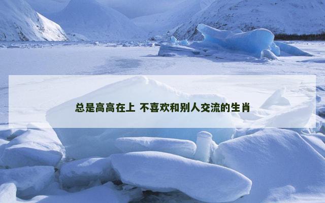 总是高高在上 不喜欢和别人交流的生肖