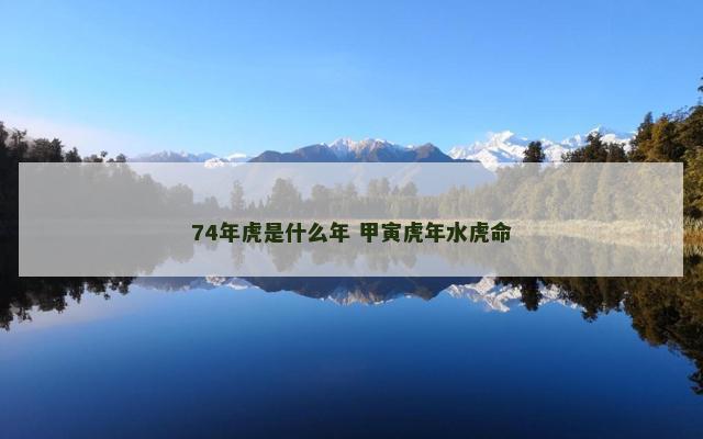 74年虎是什么年 甲寅虎年水虎命