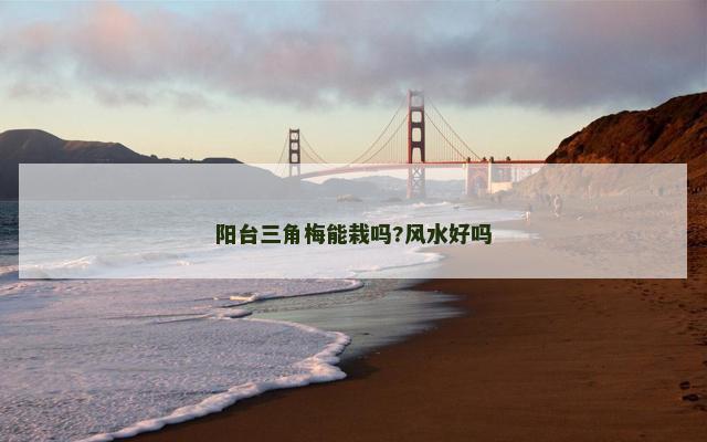 阳台三角梅能栽吗?风水好吗