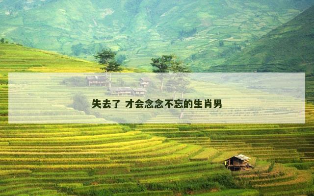 失去了 才会念念不忘的生肖男