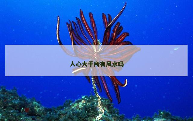 人心大于所有风水吗