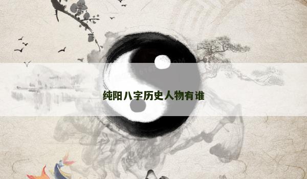 纯阳八字历史人物有谁