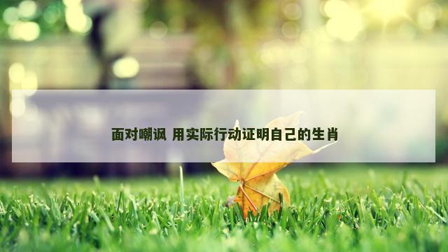 面对嘲讽 用实际行动证明自己的生肖