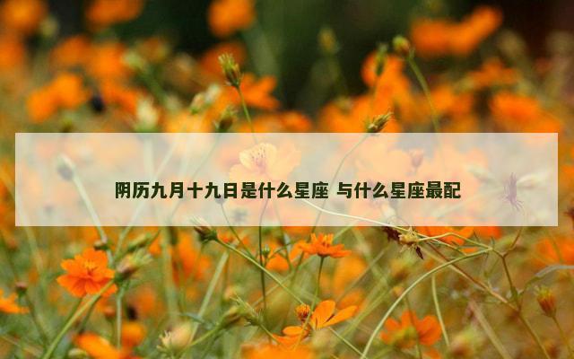 阴历九月十九日是什么星座 与什么星座最配