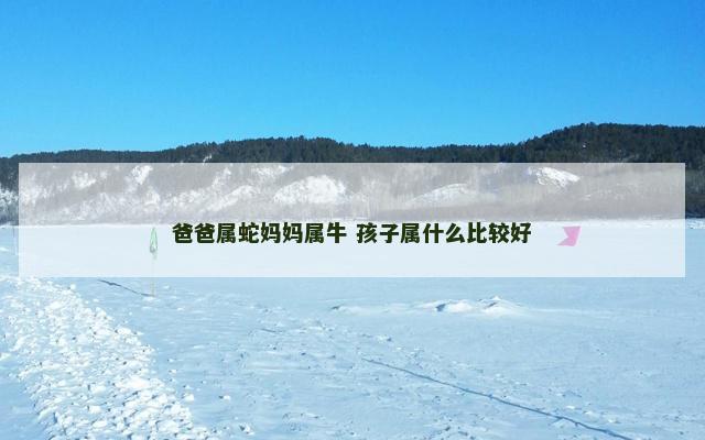 爸爸属蛇妈妈属牛 孩子属什么比较好