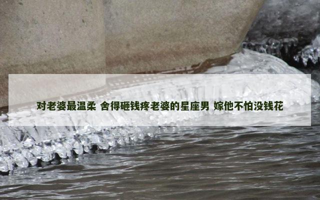 对老婆最温柔 舍得砸钱疼老婆的星座男 嫁他不怕没钱花