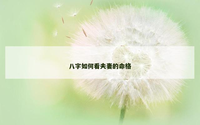 八字如何看夫妻的命格