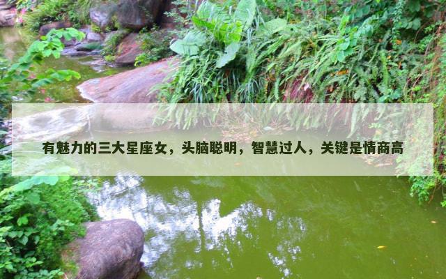 有魅力的三大星座女，头脑聪明，智慧过人，关键是情商高