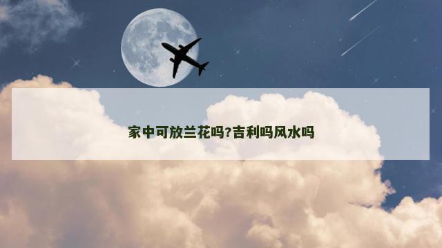 家中可放兰花吗?吉利吗风水吗