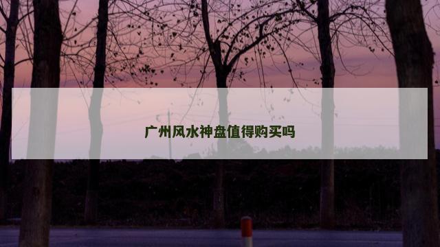 广州风水神盘值得购买吗