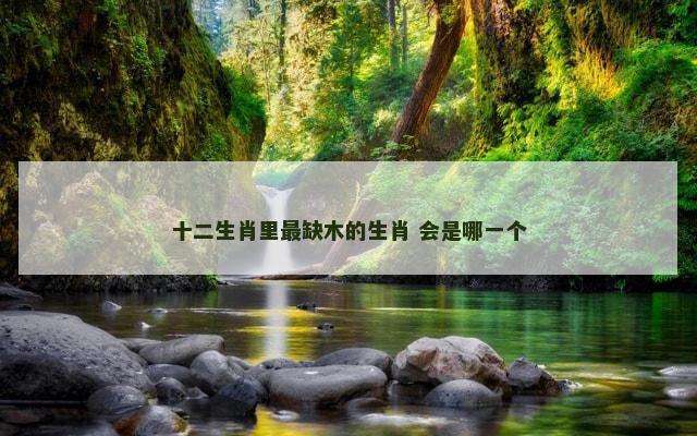 十二生肖里最缺木的生肖 会是哪一个