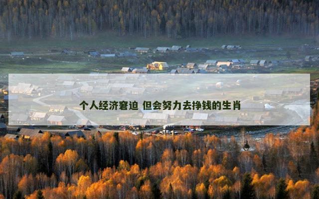 个人经济窘迫 但会努力去挣钱的生肖
