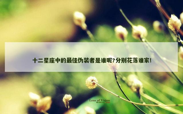 十二星座中的最佳伪装者是谁呢?分别花落谁家!