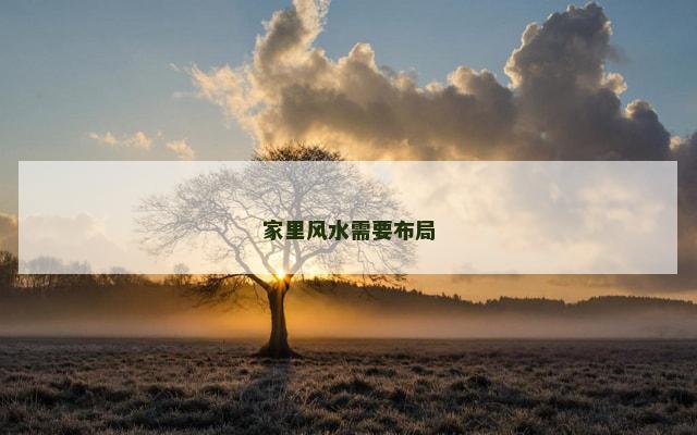 家里风水需要布局