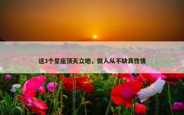 这3个星座顶天立地，做人从不缺真性情
