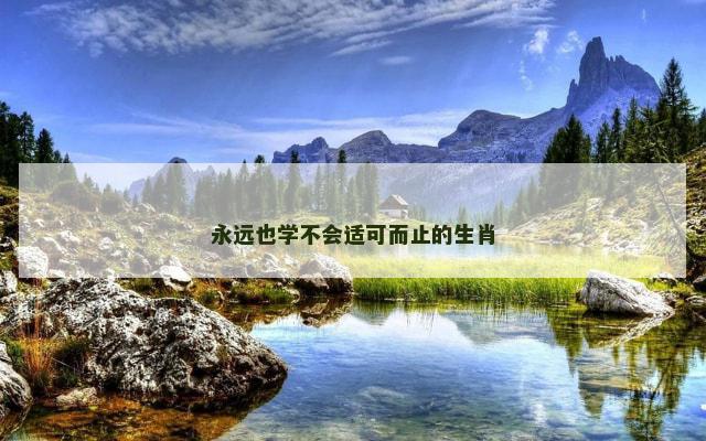 永远也学不会适可而止的生肖