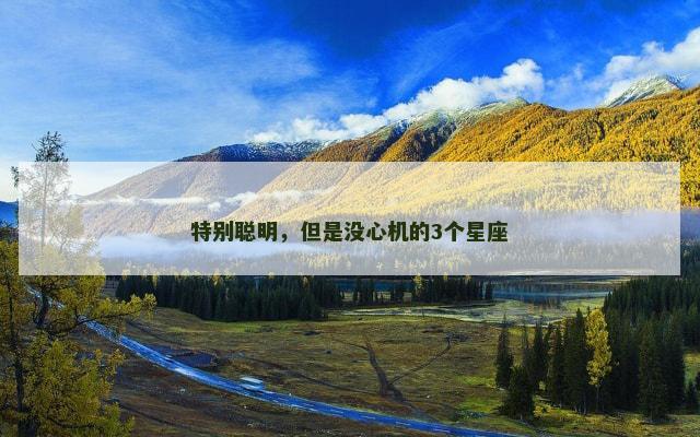 特别聪明，但是没心机的3个星座