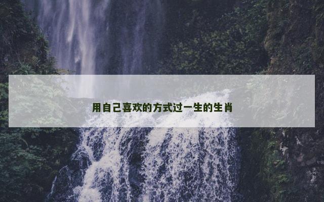 用自己喜欢的方式过一生的生肖