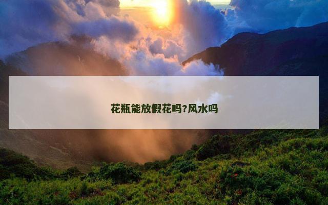 花瓶能放假花吗?风水吗