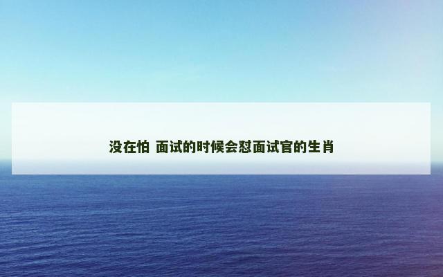 没在怕 面试的时候会怼面试官的生肖