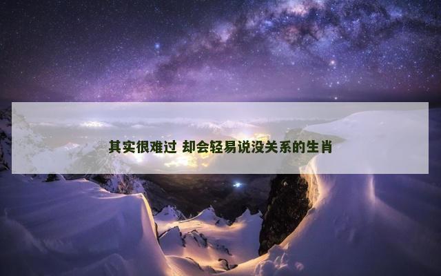 其实很难过 却会轻易说没关系的生肖