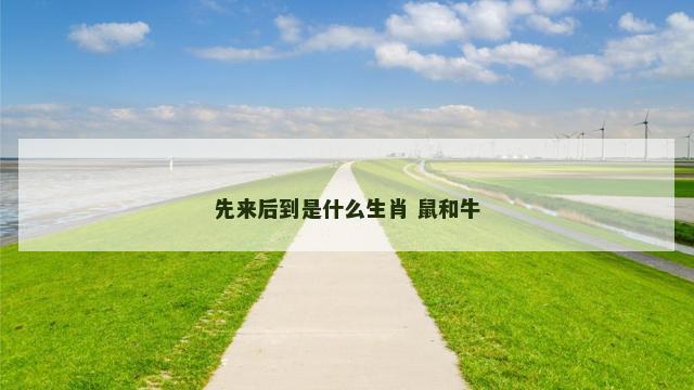 先来后到是什么生肖 鼠和牛