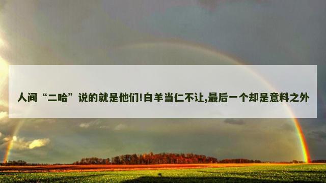 人间“二哈”说的就是他们!白羊当仁不让,最后一个却是意料之外