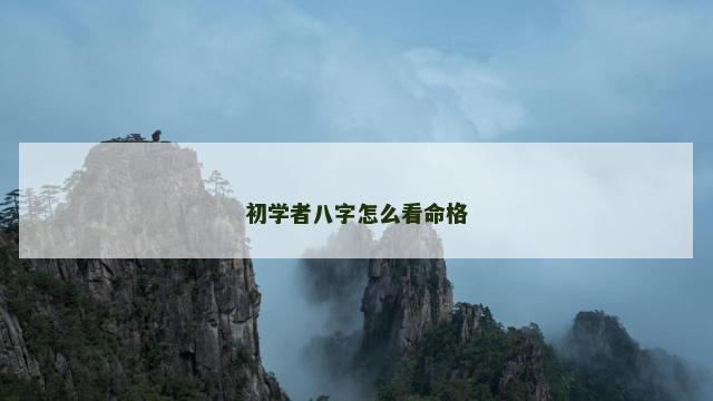 初学者八字怎么看命格