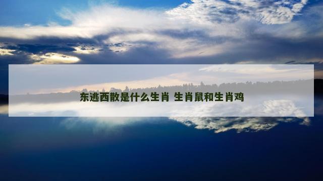 东逃西散是什么生肖 生肖鼠和生肖鸡