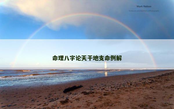 命理八字论天干地支命例解