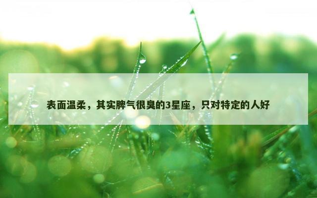表面温柔，其实脾气很臭的3星座，只对特定的人好