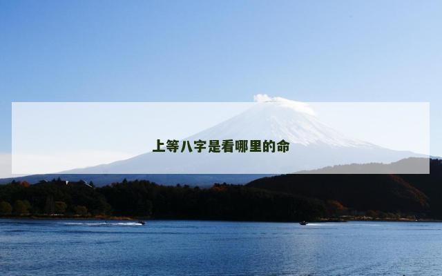 上等八字是看哪里的命