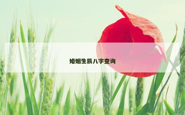 婚姻生辰八字查询