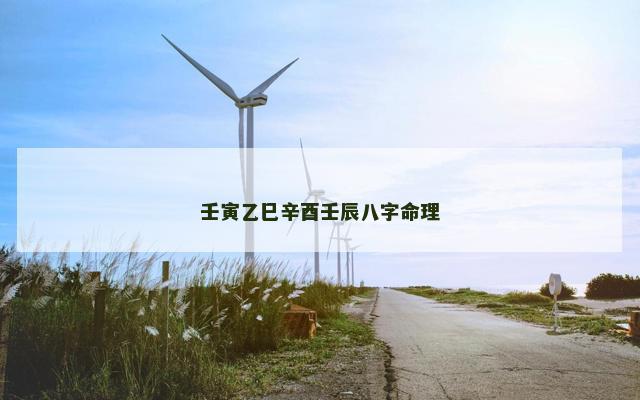 壬寅乙巳辛酉壬辰八字命理