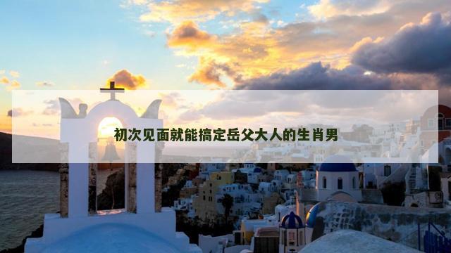 初次见面就能搞定岳父大人的生肖男