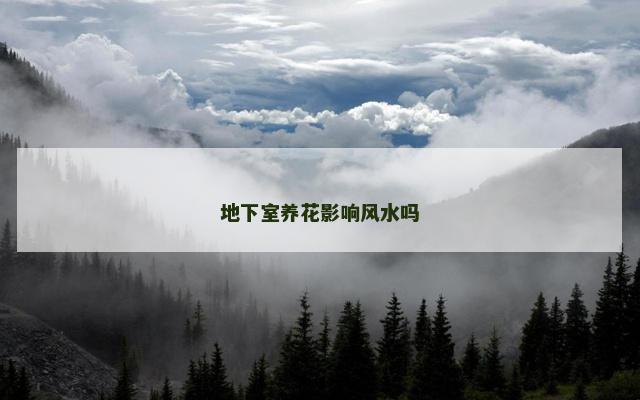 地下室养花影响风水吗