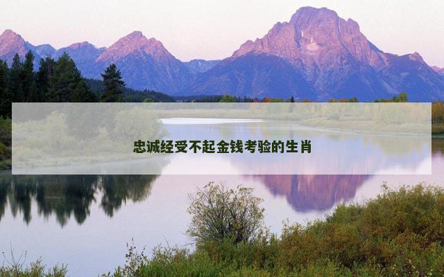 忠诚经受不起金钱考验的生肖