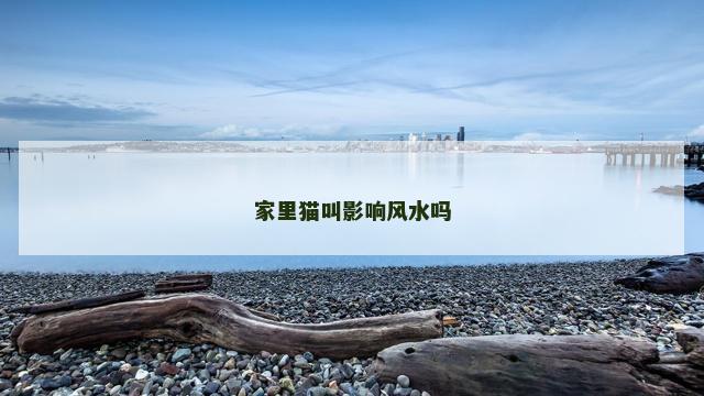 家里猫叫影响风水吗