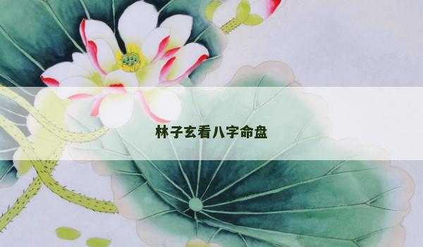 林子玄看八字命盘
