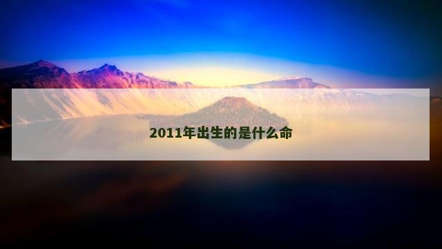 2011年出生的是什么命