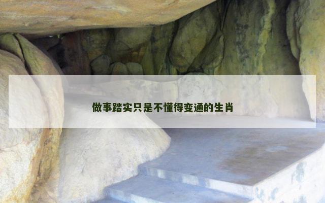 做事踏实只是不懂得变通的生肖