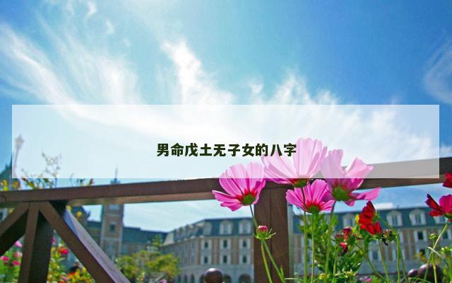 男命戊土无子女的八字