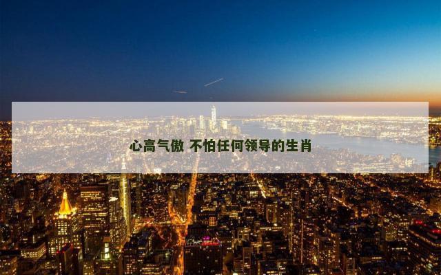 心高气傲 不怕任何领导的生肖