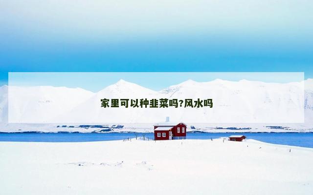家里可以种韭菜吗?风水吗