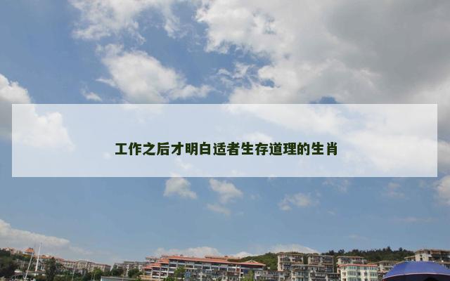 工作之后才明白适者生存道理的生肖