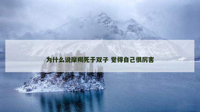 为什么说摩羯死于双子 觉得自己很厉害